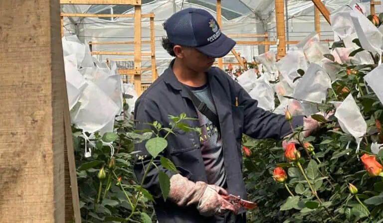 empleo en colombia
