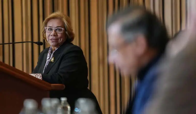 Canciller, Rosa Villavicencio
