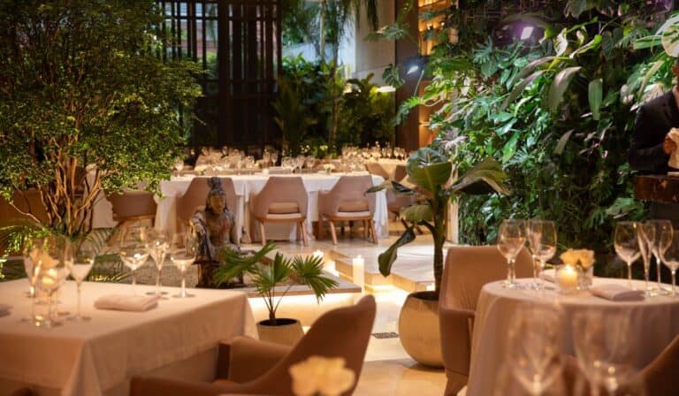 Elcielo World Tour, la nueva plataforma de encuentros gastronómicos que llegará a Medellín y Bogotá El Cielo Medellín