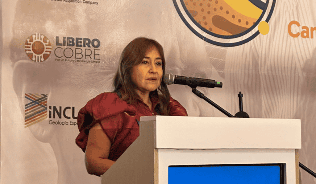Elsa Jaimes, gerente general de Ecopetrol. Imagen: Alejandro Correa-Valora Analitik