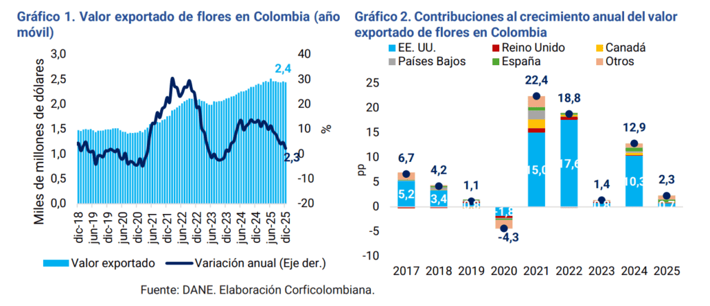 Floricultura colombiana, bajo presión en 2026 por dólar y salario mínimo Exportación de flores