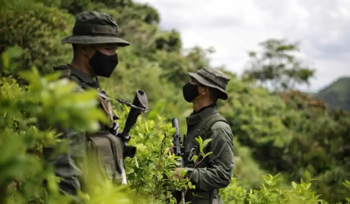 Home - Valora Analitik Grupos armados en Colombia