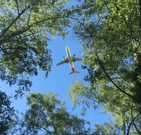 Entrevista | Víctor Moneo, director comercial global de Iberia: “Colombia es uno de nuestros mercados más importantes en América Latina” El SAF puede reducir hasta 80 % las emisiones netas de CO₂ en su ciclo de vida frente al combustible convencional. Foto: Iberia.