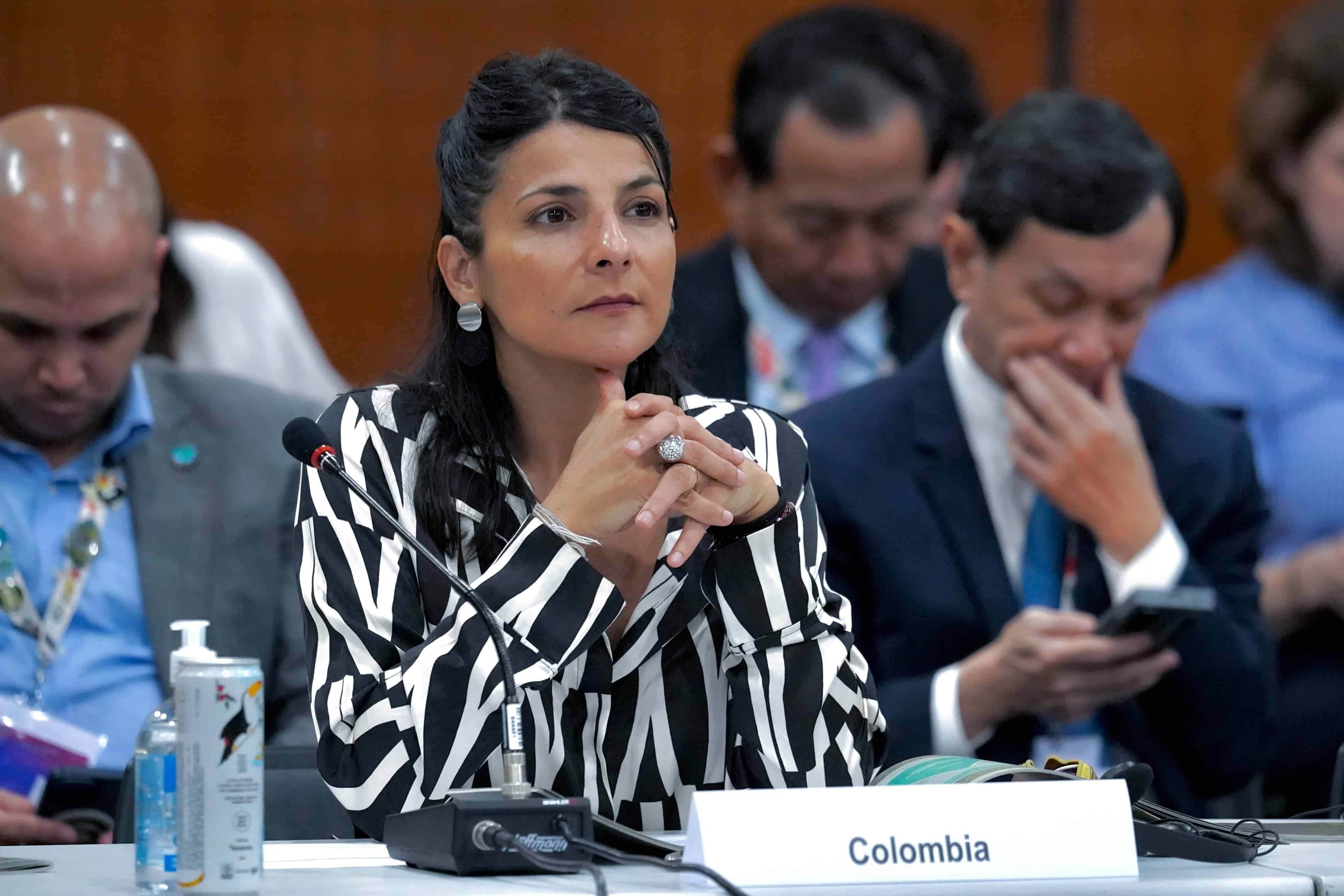 Home - Valora Analitik Irene Vélez, ministra de Ambiente y directora de la ANLA. Imagen: Ministerio de Ambiente