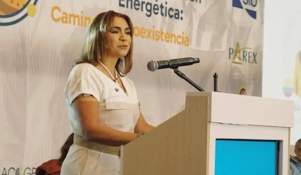 Entrevista | Presidente de la ANM: Colombia sí necesita explorar más en minería para activar su potencial Lina Franco, presidente de la ANM. Imagen: ACGGP