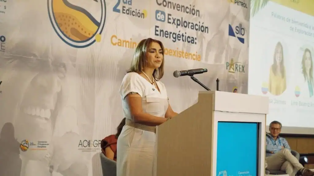 Entrevista | Presidente de la ANM: Colombia sí necesita explorar más en minería para activar su potencial Lina Franco, presidente de la ANM. Imagen: Acggp