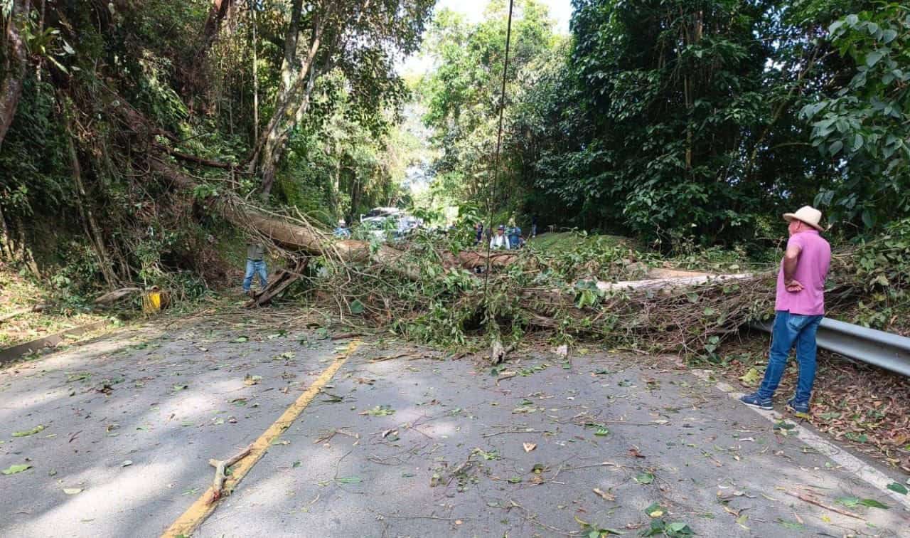 Home - Valora Analitik Los corredores viales más afectados por la ola invernal