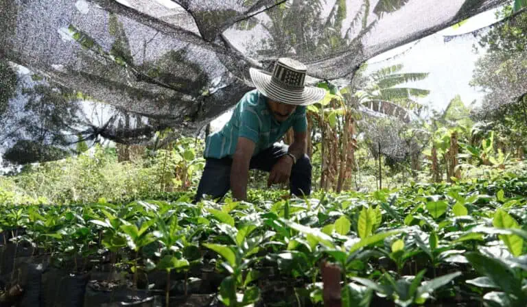 De la Espriella prepara cambios de fondo para la producción y venta de productos orgánicos en Colombia trabajo en colombia
