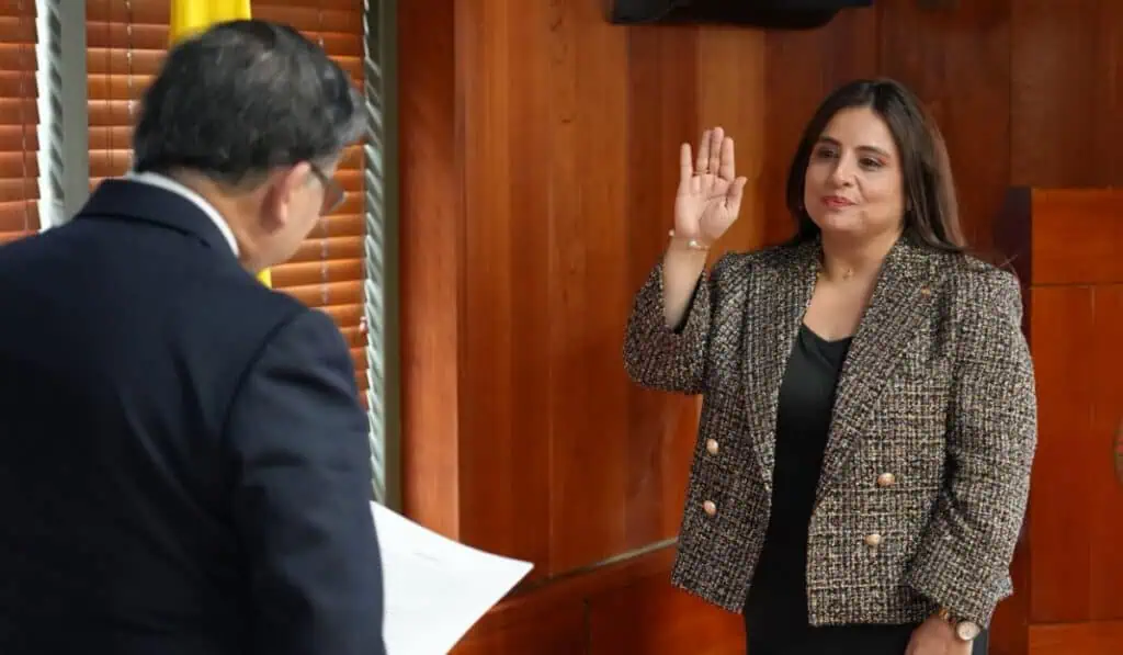 Paola Meneses asume la presidencia de la Corte Constitucional en momento clave por reforma pensional y emergencia Paola Meneses, presidenta de la Corte Constitucional