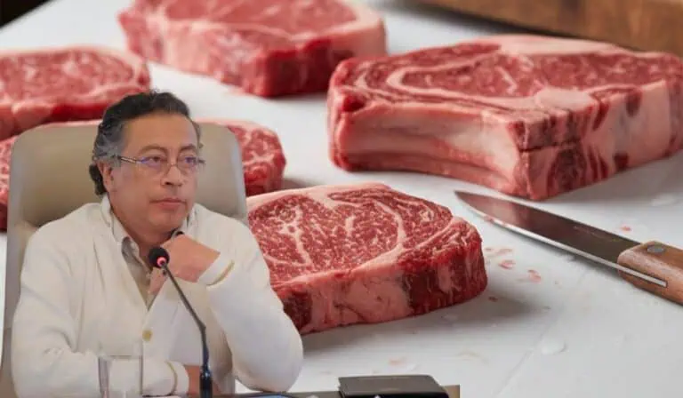 gobierno Petro no podría impedir la exportación de carne