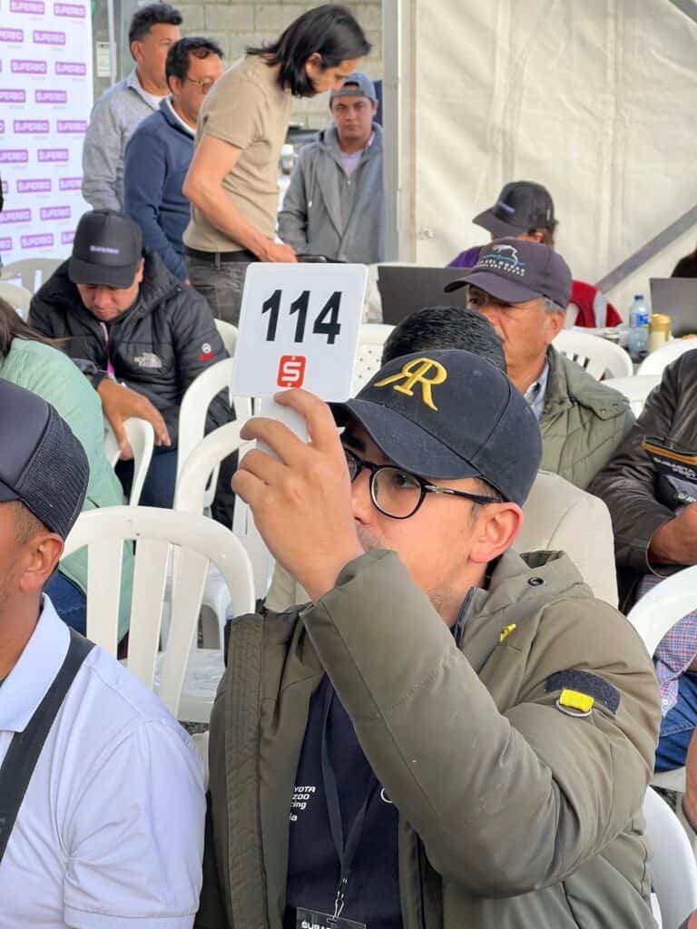 Qué son las subastas en línea y cuál es su marco legal en Colombia Qué son las subastas en línea y cuál es su marco legal en Colombia