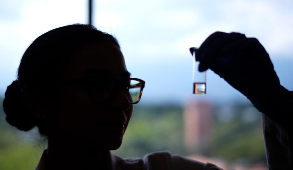 Aceite de Cacay: ingrediente natural colombiano que revoluciona la industria cosmética por su versatilidad y beneficios Aceite de Cacay