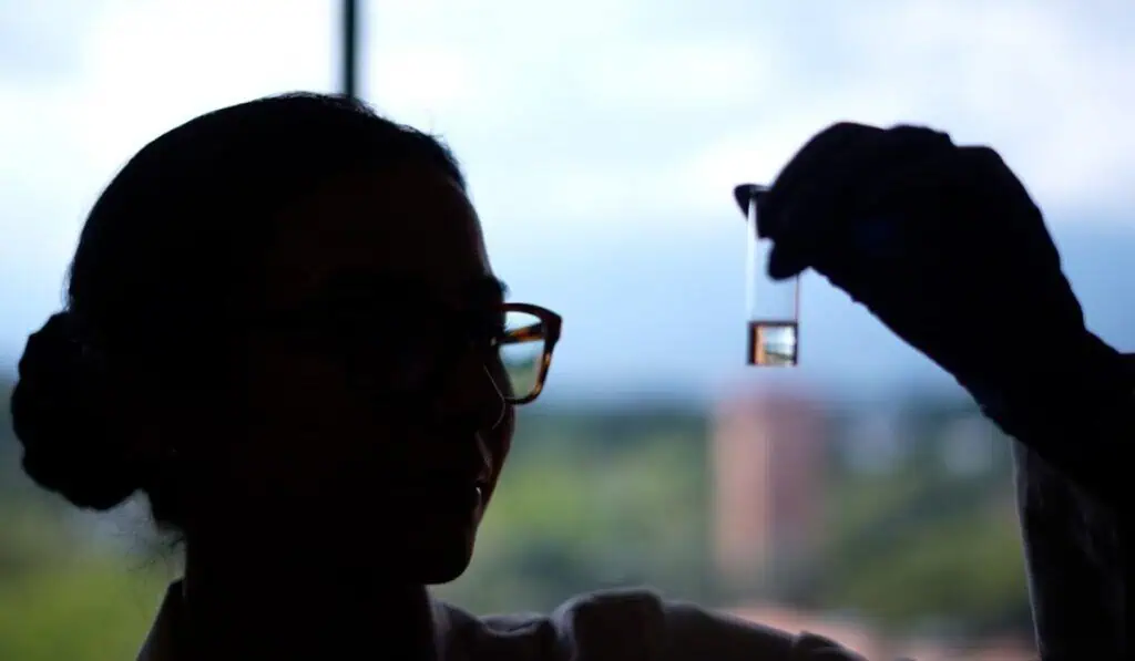 Aceite de Cacay: ingrediente natural colombiano que revoluciona la industria cosmética por su versatilidad y beneficios Aceite de Cacay