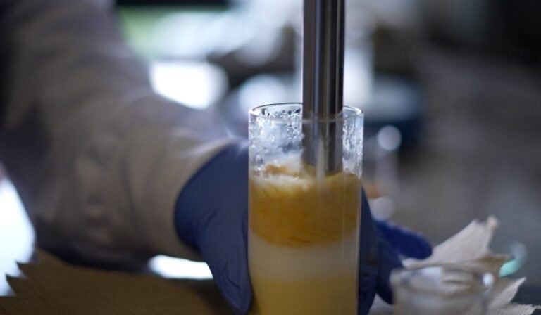 Aceite de Cacay: ingrediente natural colombiano que revoluciona la industria cosmética por su versatilidad y beneficios