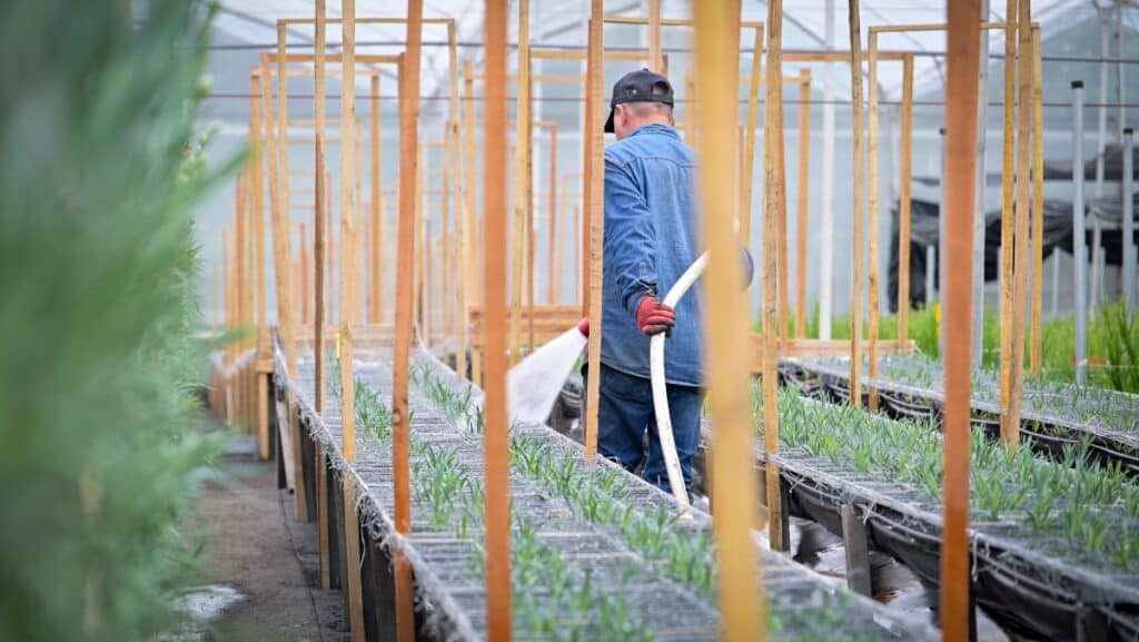 Bogotá será sede de un nuevo centro de innovación de flores Bogotá será sede de un nuevo centro de innovación de flores