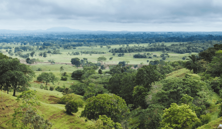 Consorcio chino se quedó con proyecto de cobre El Alacrán en Córdoba Proyecto de cobre El Alacrán en el sur de Córdoba. Imagen: Cordoba Minerals