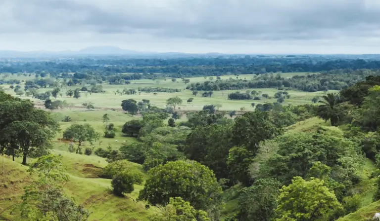 Proyecto de cobre El Alacrán en el sur de Córdoba. Imagen: Cordoba Minerals