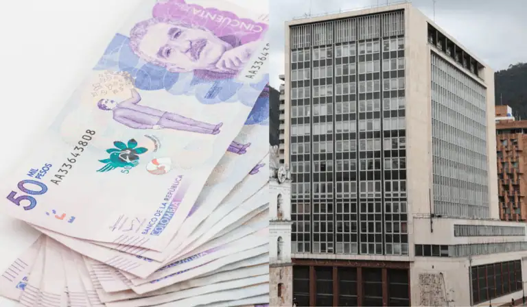 Ganancias del BanRep acumulan seis meses a la baja: a julio cayeron un 39,2 % Ganancias del BanRep
