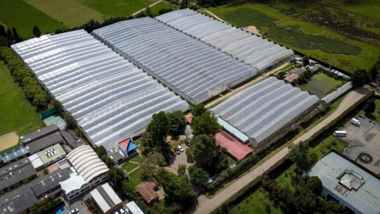 Entrevista | Bogotá inaugura un centro único para productores de flores: así cambiará el sector Entrevista | Bogotá inaugura un centro único para productores de flores: así cambiará el sector