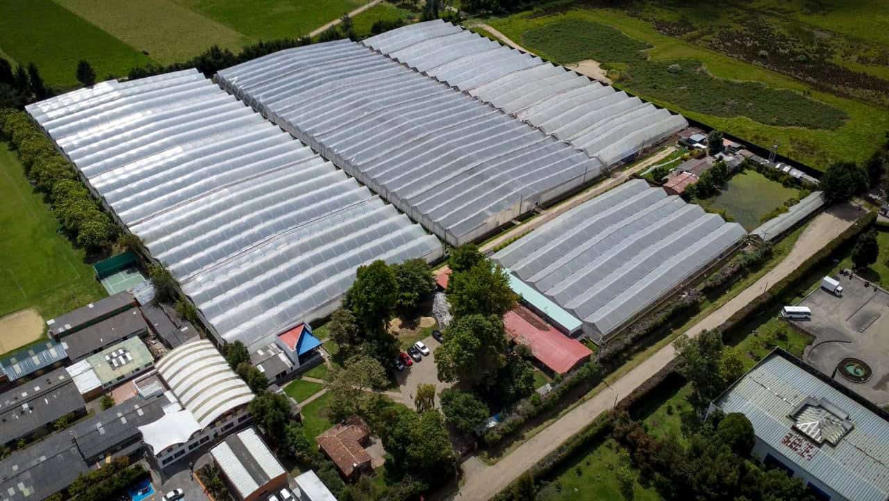 Home - Valora Analitik Entrevista | Bogotá inaugura un centro único para productores de flores: así cambiará el sector