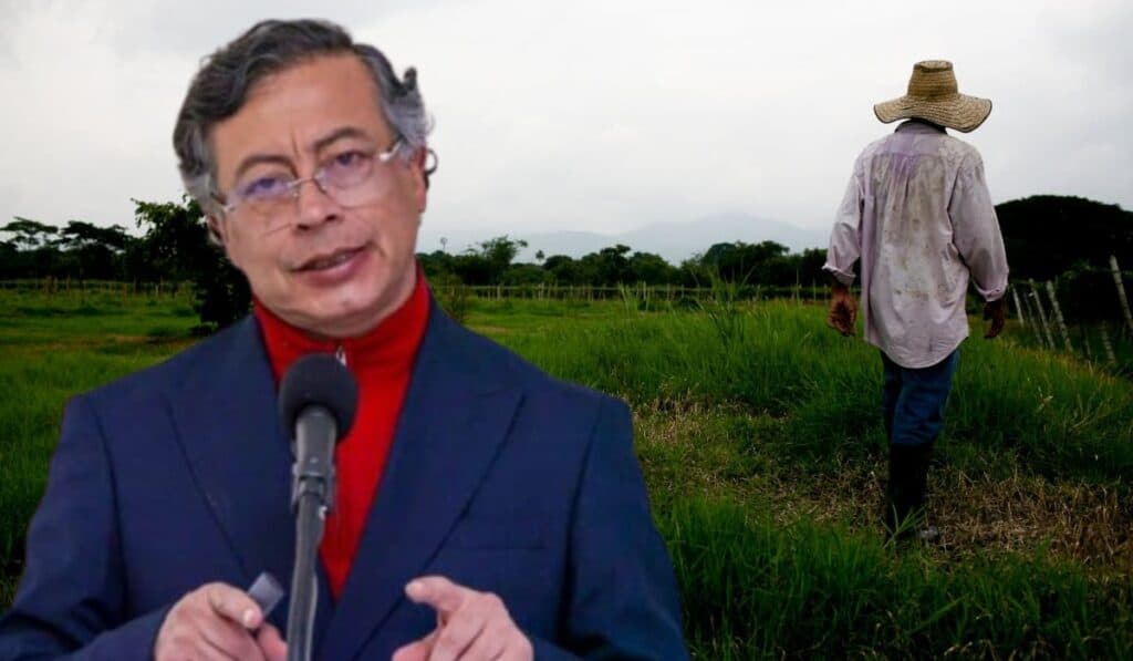 La advertencia del agro al Gobierno Petro: productores de granos encienden las alarmas La advertencia del agro al Gobierno Petro: productores de granos encienden las alarmas