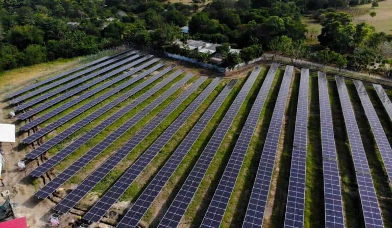 Las minigranjas solares que ya generan energía para miles de hogares en Colombia