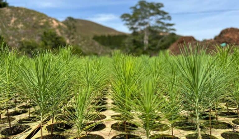 Megaproyecto con inversión de US$120 millones promete generar miles de empleos en Antioquia Megaproyecto con inversión de US$120 millones promete generar miles de empleos en Antioquia