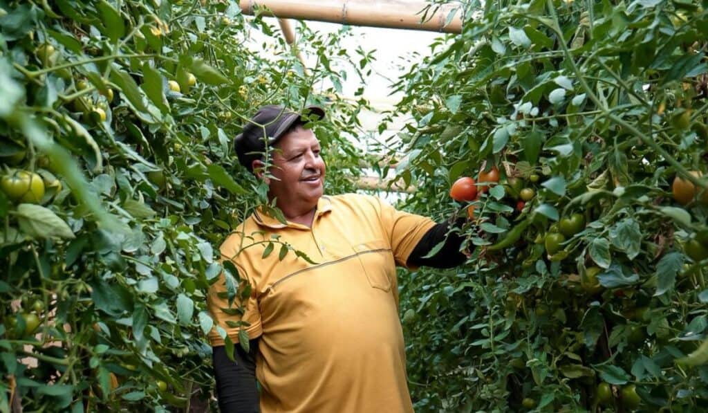 Microempresas de Colombia fortaleció su presencia y otorgó más de 15.000 créditos en 2025 Microempresas de Colombia entregó 7.090 pólizas de seguros.