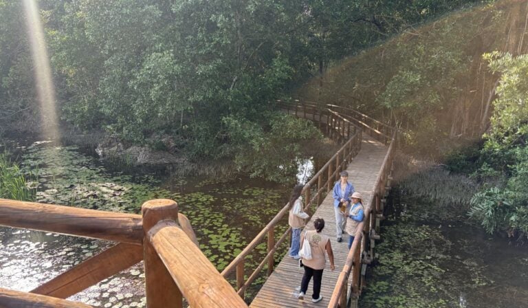 Así es el circuito de aviturismo que está impulsando el turismo sostenible en el Caribe La Asociación Comunitaria Restaurando Hábitat decidió transformar prácticas que históricamente afectaron este territorio.