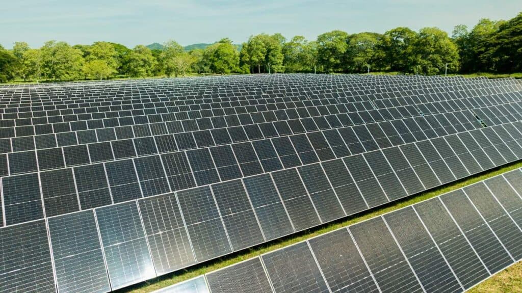 minigranjas solares que ya generan energía para miles de hogares en Colombia 