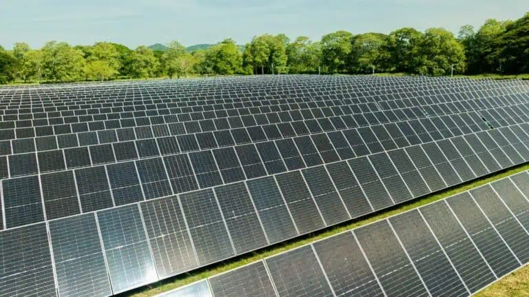 Energía solar. Imagen. Unergy