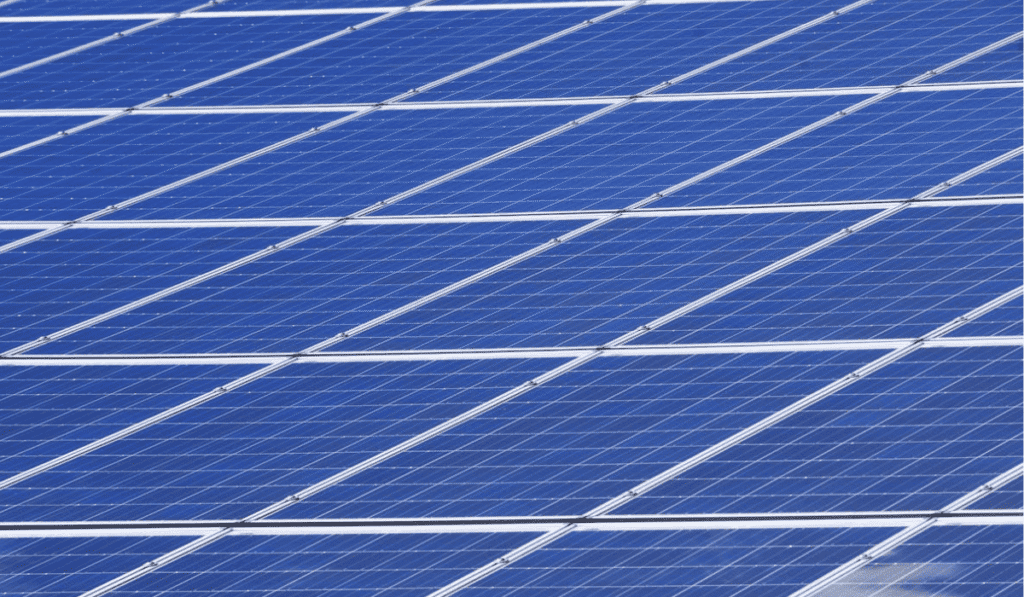 Proyecto solar de Terpel Sunex y Zonamerica inicia su segunda fase Paneles solares