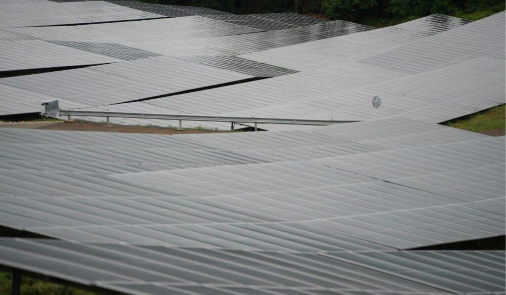Banco de Bogotá y Celsia se unen para impulsar proyectos de energía solar por $53.000 millones Energía solar, paneles solares, energías renovables