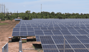 Home - Valora Analitik Granja solar Quifa. Imagen: Ecopetrol