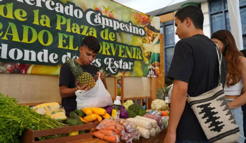 Abren bolsa de $9.000 millones en Cali para financiar pequeños negocios Emprendimientos.