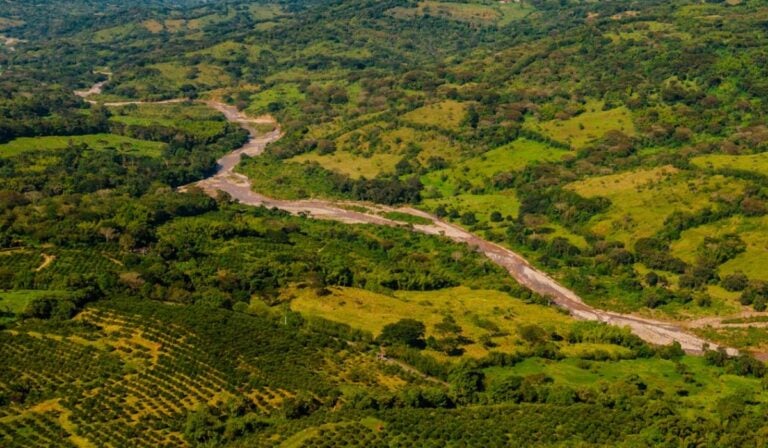 Sembrando Futuro 2.0 de la Fundación Grupo Argos recibió la máxima calificación de Sylvera por su impacto positivo Sembrando Futuro 2.0 de la Fundación Grupo Argos recibió la máxima calificación de Sylvera por su impacto positivo