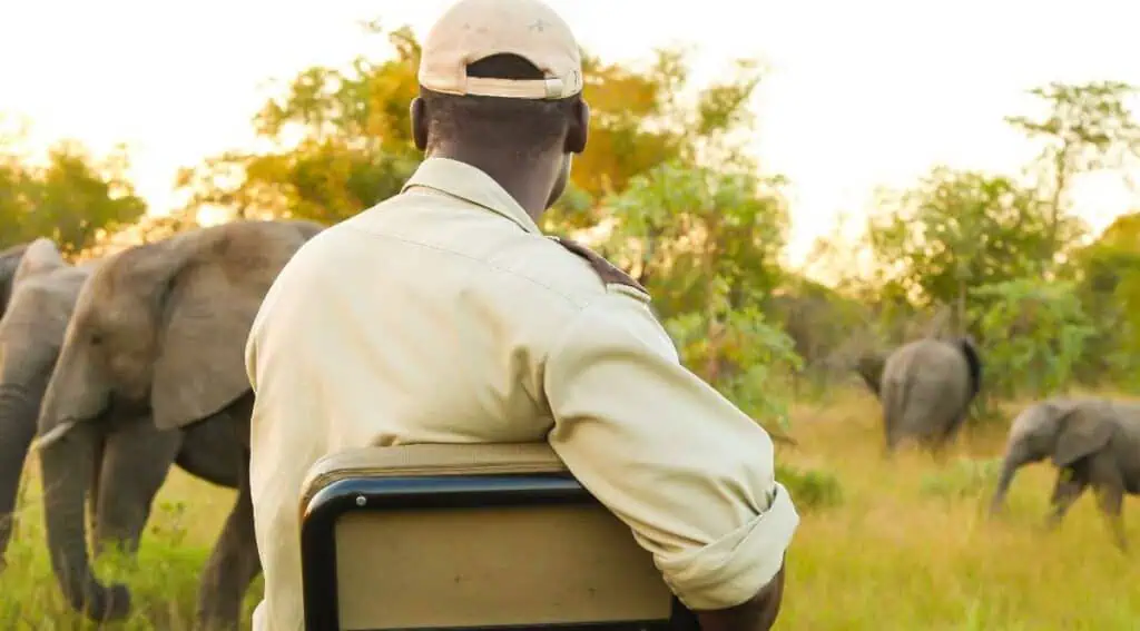 Viajar a un safari a África desde Colombia vale más de $30 millones por persona_ este es el cálculo (1) Viajar a un safari a África desde Colombia vale más de $30 millones por persona: este es el cálculo