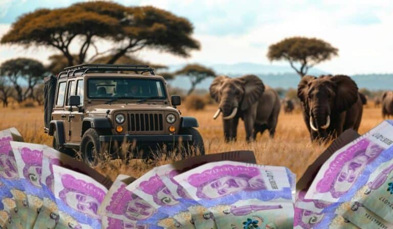 Viajar a un safari a África desde Colombia vale más de $30 millones por persona: este es el cálculo Viajar a un safari a África desde Colombia vale más de $30 millones por persona: este es el cálculo