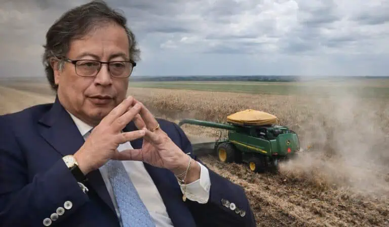 Top de los alimentos cuya producción cayó en Colombia: agricultores dicen que el Gobierno Petro no les da garantías