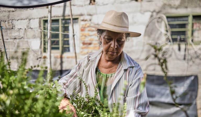 El 100 % de las familias vinculadas a los proyectos implementó prácticas agroecológicas en sus sistemas productivos. Foto: Fundación Alpina.