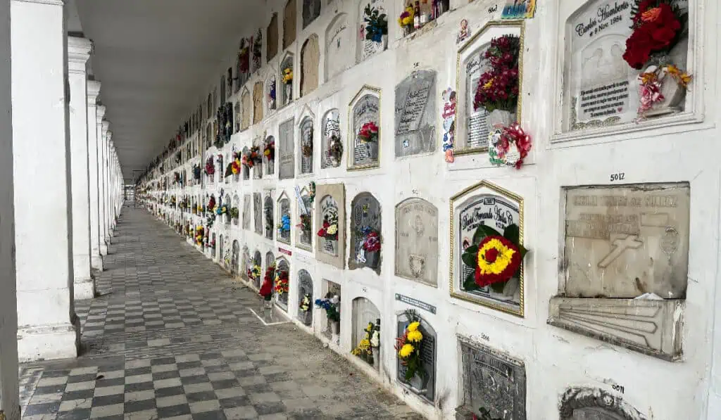 Contraloría detecta manejo irregular de dineros públicos en cementerios distritales; caso irá a Fiscalía Cementerios distritales