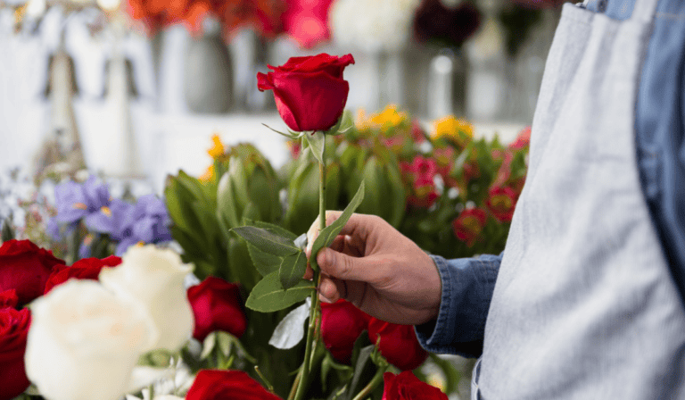 Más allá del ramo: el papel de la agricultura regenerativa en las flores del Día de la Madre Industria de las flores