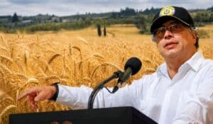 Home - Valora Analitik El cultivo que podría desaparecer en Colombia por arancel del 0 % que propone el Gobierno Petro