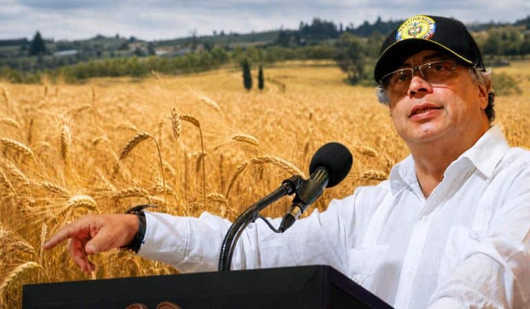 El cultivo que podría desaparecer en Colombia por arancel del 0 % que propone el Gobierno Petro 