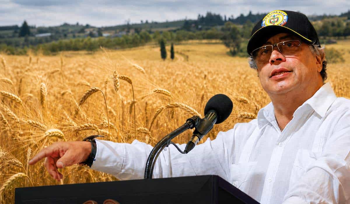 El cultivo que podría desaparecer en Colombia por medida del Gobierno Petro 