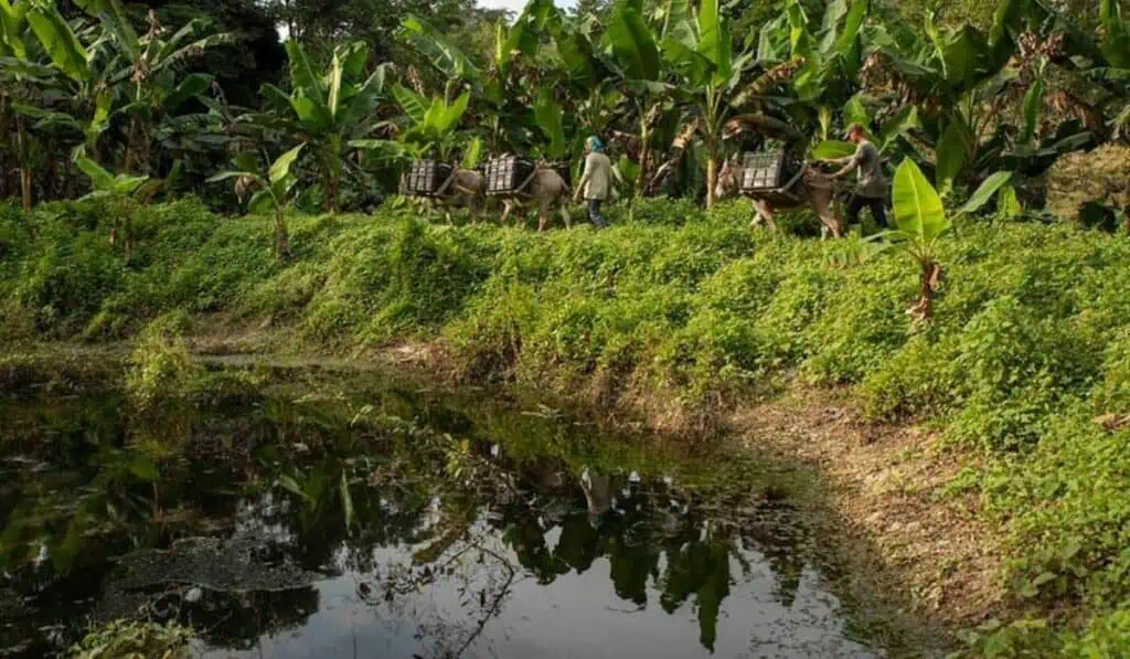 Iniciativa impulsa a líderes rurales en Colombia para transformar territorios afectados por la exclusión Iniciativa impulsa a líderes rurales en Colombia para transformar territorios afectados por la exclusión