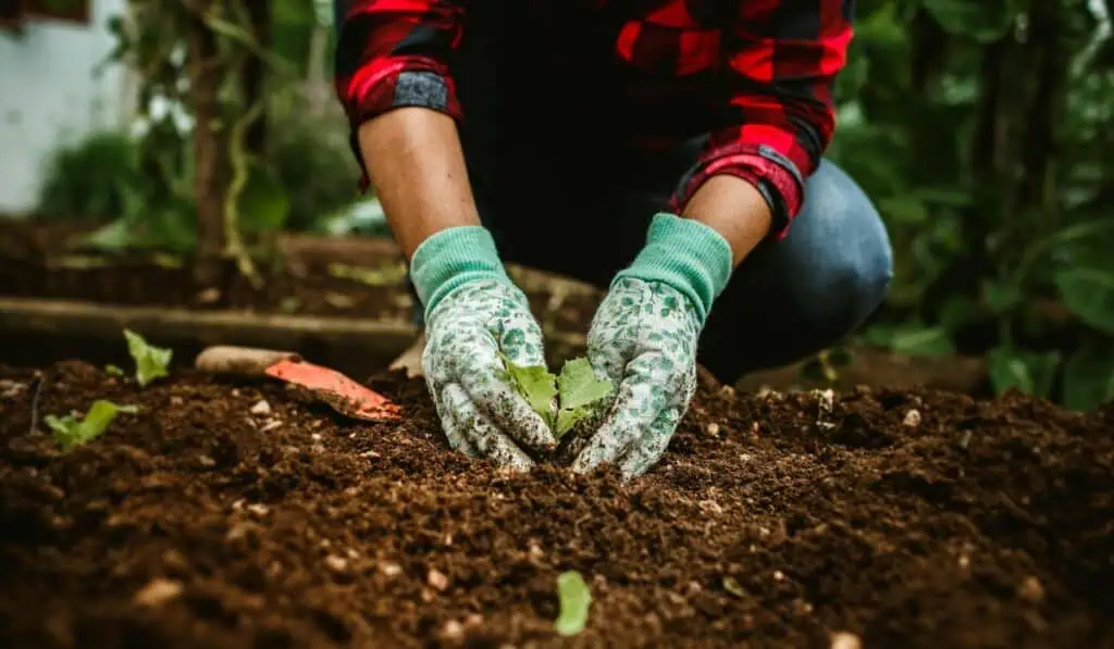 La informalidad sigue marcando el empleo rural en América Latina: afecta a siete de cada 10 trabajadores Agro en América Latina