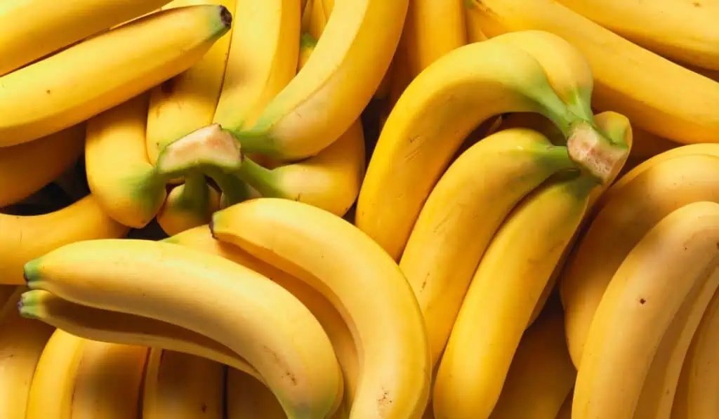 “El productor de banano debe recibir al menos un precio que le permita seguir produciendo” Producción de banano