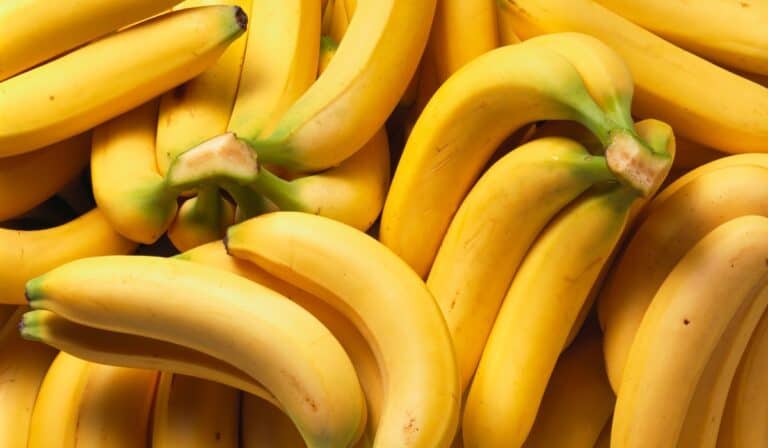“El productor de banano debe recibir al menos un precio que le permita seguir produciendo” Producción de banano