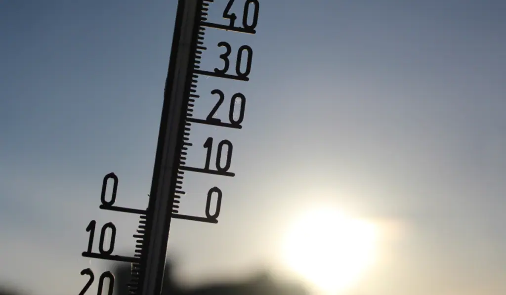 Estas son las ciudades colombianas más expuestas a las olas de calor, según estudio de Oxford Oxford analizó 205 grandes ciudades para determinar cuáles son las de mayor riesgo.